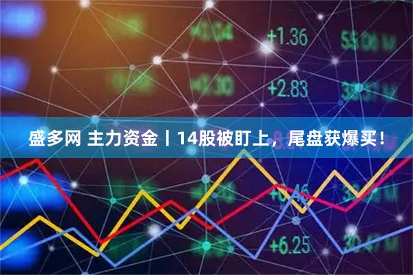 盛多网 主力资金丨14股被盯上，尾盘获爆买！