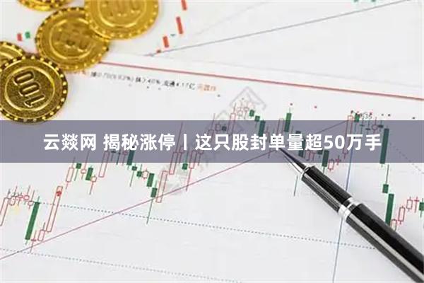 云燚网 揭秘涨停丨这只股封单量超50万手