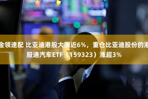 金领速配 比亚迪港股大涨近6%，重仓比亚迪股份的港股通汽车ETF（159323）涨超3%