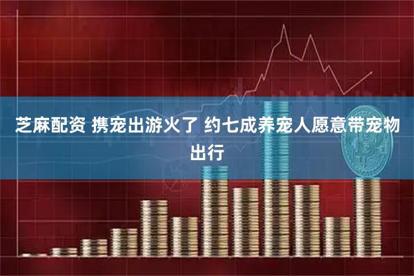 芝麻配资 携宠出游火了 约七成养宠人愿意带宠物出行