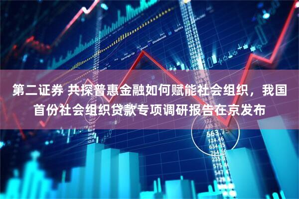 第二证券 共探普惠金融如何赋能社会组织，我国首份社会组织贷款专项调研报告在京发布